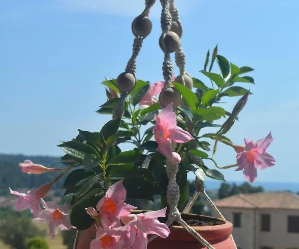 Luxurious Stone House In Elani Siviri