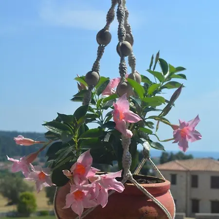 Luxurious Stone House In Elani Siviri