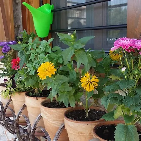 Luxurious Stone House In Elani וילה *